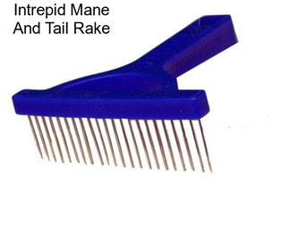 Intrepid Mane And Tail Rake