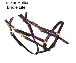 Tucker Halter Bridle Lite