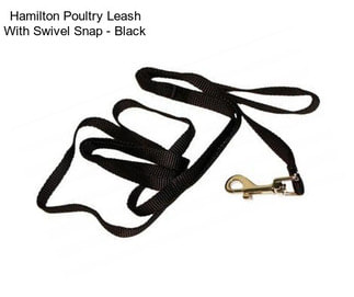 Hamilton Poultry Leash With Swivel Snap - Black