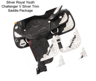 Silver Royal Youth Challenger V Silver Trim Saddle Package