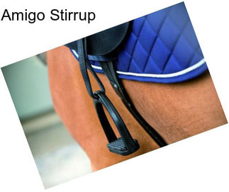 Amigo Stirrup