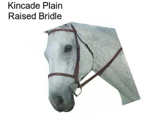 Kincade Plain Raised Bridle