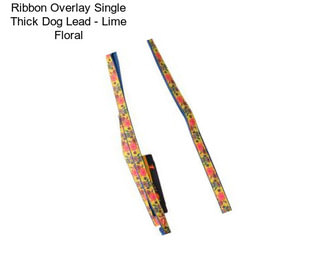 Ribbon Overlay Single Thick Dog Lead - Lime Floral