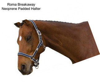 Roma Breakaway Neoprene Padded Halter