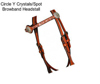 Circle Y Crystals/Spot Browband Headstall