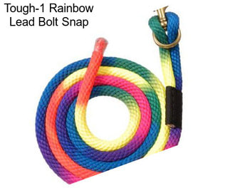 Tough-1 Rainbow Lead Bolt Snap