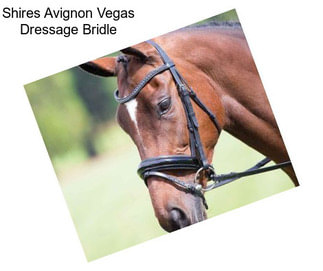 Shires Avignon Vegas Dressage Bridle