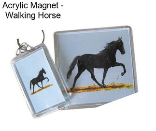 Acrylic Magnet - Walking Horse