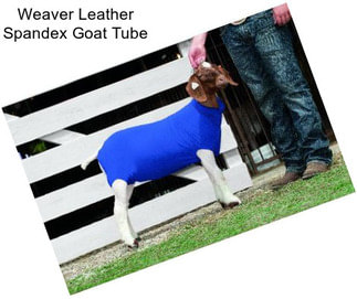 Weaver Leather Spandex Goat Tube