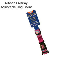 Ribbon Overlay Adjustable Dog Collar