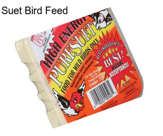 Suet Bird Feed