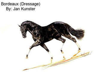 Bordeaux (Dressage) By: Jan Kunster