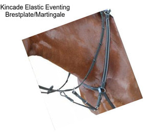 Kincade Elastic Eventing Brestplate/Martingale