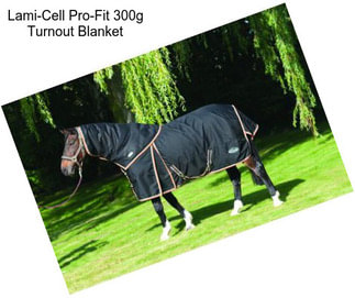 Lami-Cell Pro-Fit 300g Turnout Blanket