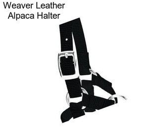 Weaver Leather Alpaca Halter