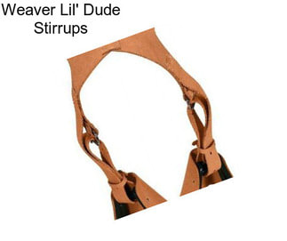 Weaver Lil\' Dude Stirrups