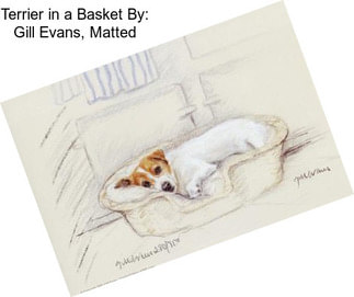 Terrier in a Basket By: Gill Evans, Matted