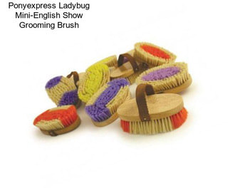 Ponyexpress Ladybug Mini-English Show Grooming Brush