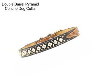 Double Barrel Pyramid Concho Dog Collar