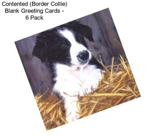 Contented (Border Collie) Blank Greeting Cards - 6 Pack