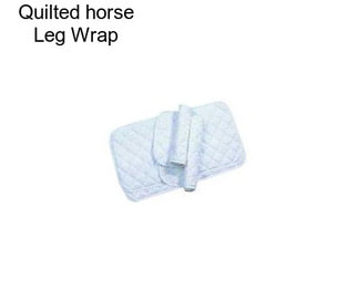 Quilted horse Leg Wrap