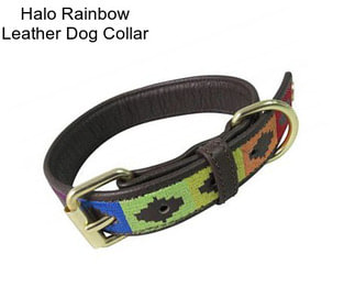 Halo Rainbow Leather Dog Collar