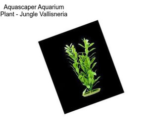 Aquascaper Aquarium Plant - Jungle Vallisneria