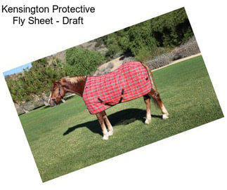 Kensington Protective Fly Sheet - Draft