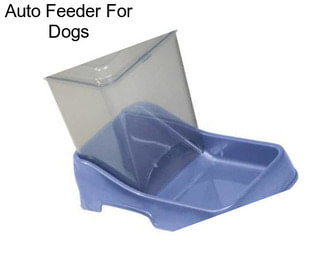 Auto Feeder For Dogs