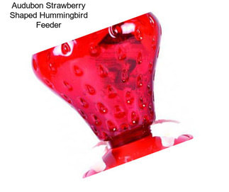 Audubon Strawberry Shaped Hummingbird Feeder