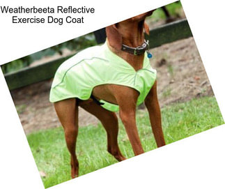 Weatherbeeta Reflective Exercise Dog Coat