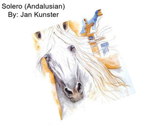 Solero (Andalusian) By: Jan Kunster