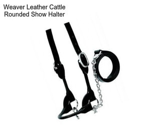 Weaver Leather Cattle Rounded Show Halter