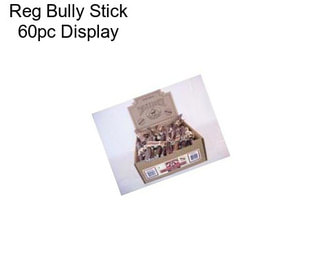 Reg Bully Stick 60pc Display