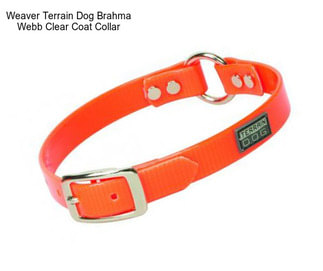 Weaver Terrain Dog Brahma Webb Clear Coat Collar