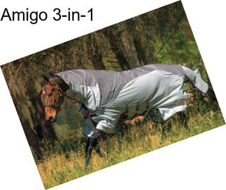 Amigo 3-in-1