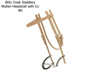 Billy Cook Saddlery Mullen Headstall with Cc Bit