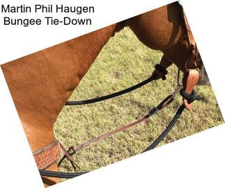 Martin Phil Haugen Bungee Tie-Down