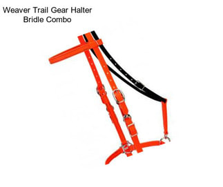 Weaver Trail Gear Halter Bridle Combo