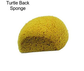 Turtle Back Sponge