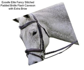 Exselle Elite Fancy Stitched Padded Bridle Flash Caveson with Extra Brow