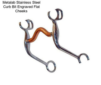 Metalab Stainless Steel Curb Bit Engraved Flat Cheeks