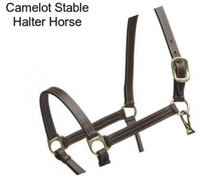 Camelot Stable Halter Horse