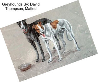 Greyhounds By: David Thompson, Matted