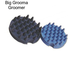 Big Grooma Groomer