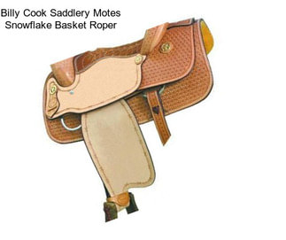 Billy Cook Saddlery Motes Snowflake Basket Roper