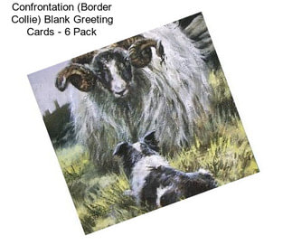 Confrontation (Border Collie) Blank Greeting Cards - 6 Pack