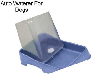 Auto Waterer For Dogs