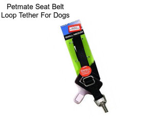 Petmate Seat Belt Loop Tether For Dogs