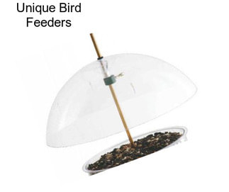 Unique Bird Feeders